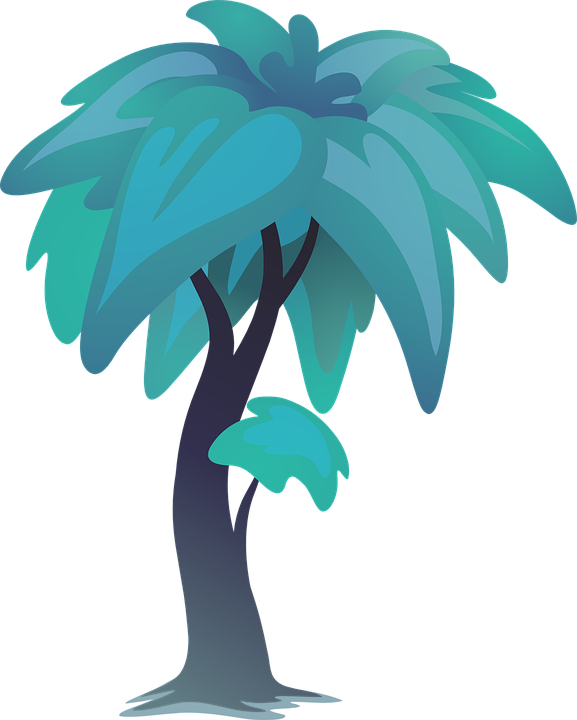 Cartoon Palm Tree Pictures 24, Buy Clip Art - ต้นไม้ เป็น รูป การ์ตูน - Png Download (577x720), Png Download
