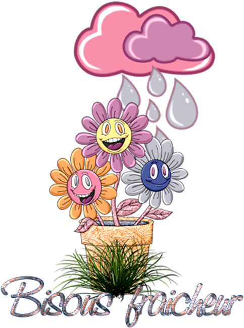 Image - Photography Clipart (800x800), Png Download