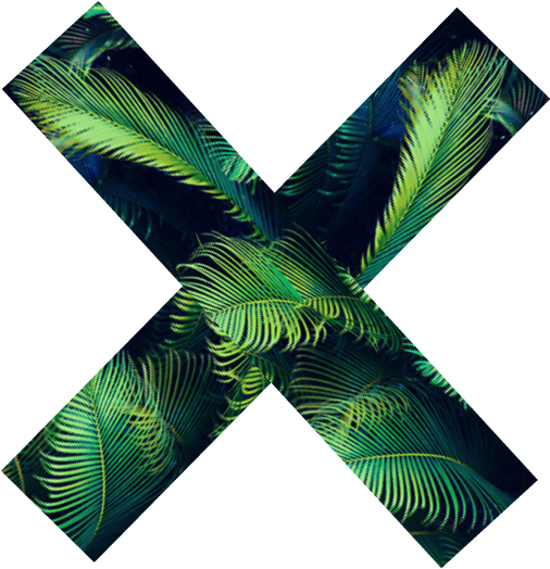 The Xx Tumblr Palm Tree - X Tumblr Png Clipart (700x700), Png Download