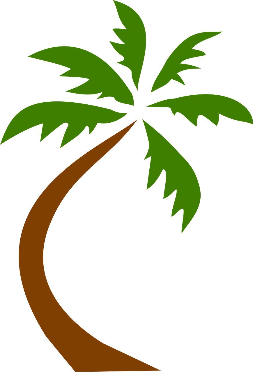 Tree Vector Image 9, Buy Clip Art - Palm Tree Clip Art Png Transparent Png (489x720), Png Download