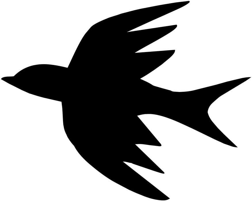 Bird Outline Drawing 4, Buy Clip Art - Contorno De Un Ave - Png Download (895x720), Png Download