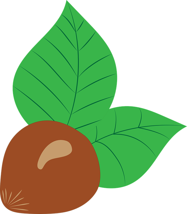 Thread Tree Cliparts 7, Buy Clip Art - Avellanas Dibujo Png Transparent Png (631x720), Png Download