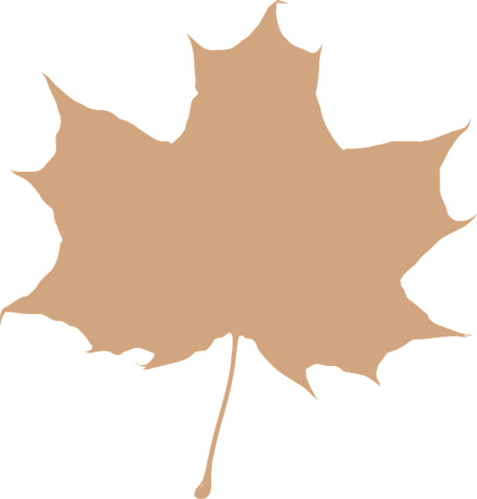 Leaf Silhouette Clipart Free - Png Download (689x720), Png Download