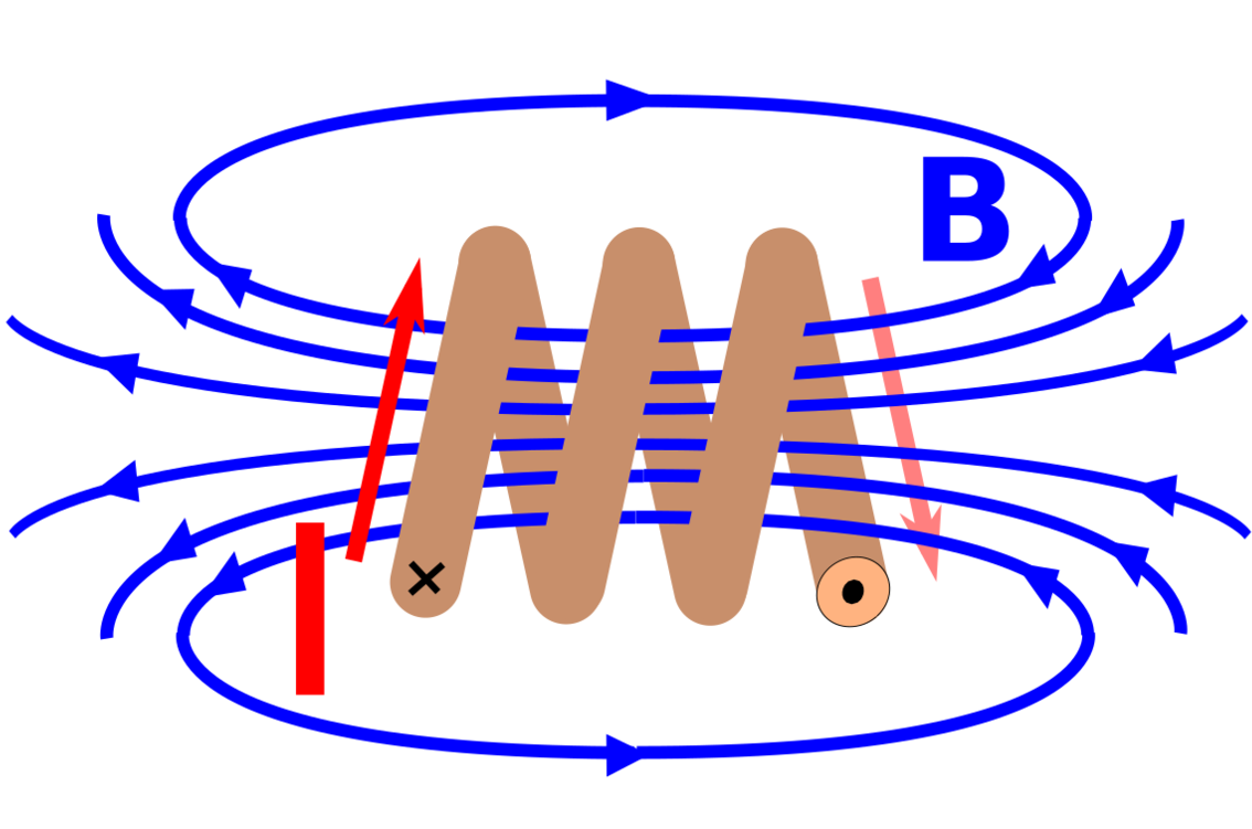 Line Organism Point - Clip Art - Png Download (2387x750), Png Download