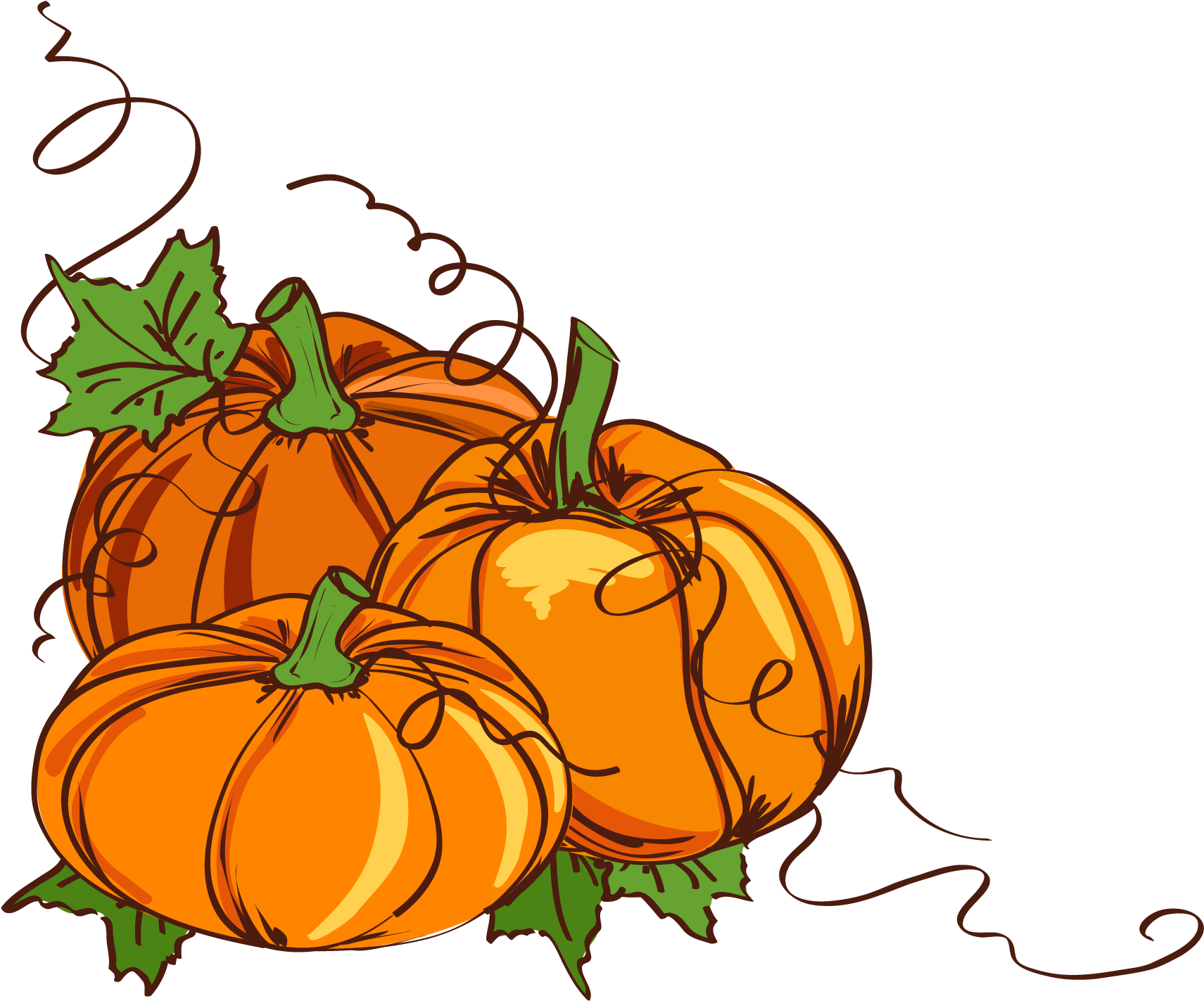 Wedding Invitation Thanksgiving Clip Art - Pumpkin Vines Clip Art - Png Download (1820x1501), Png Download
