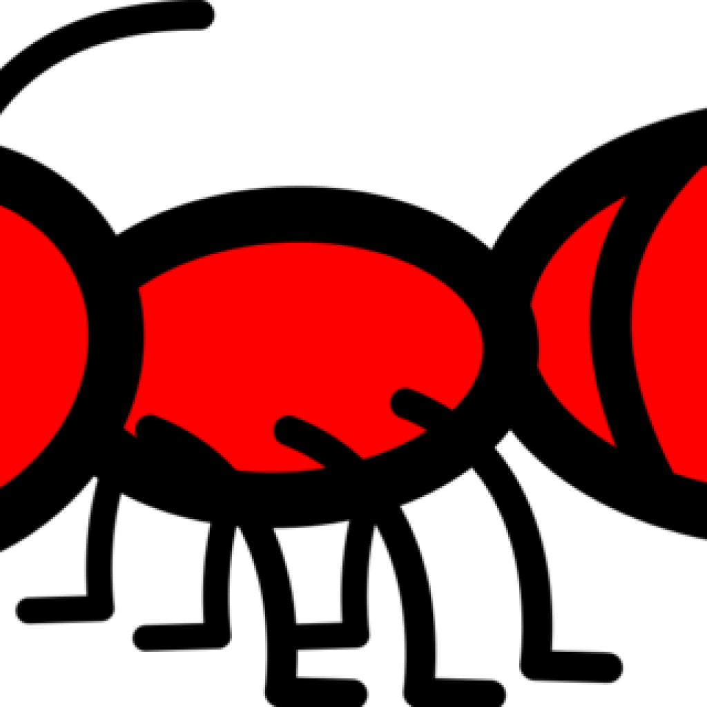 Clip Art Black And White Ant Clipart - Ant Clipart Png Transparent Png (1024x1024), Png Download