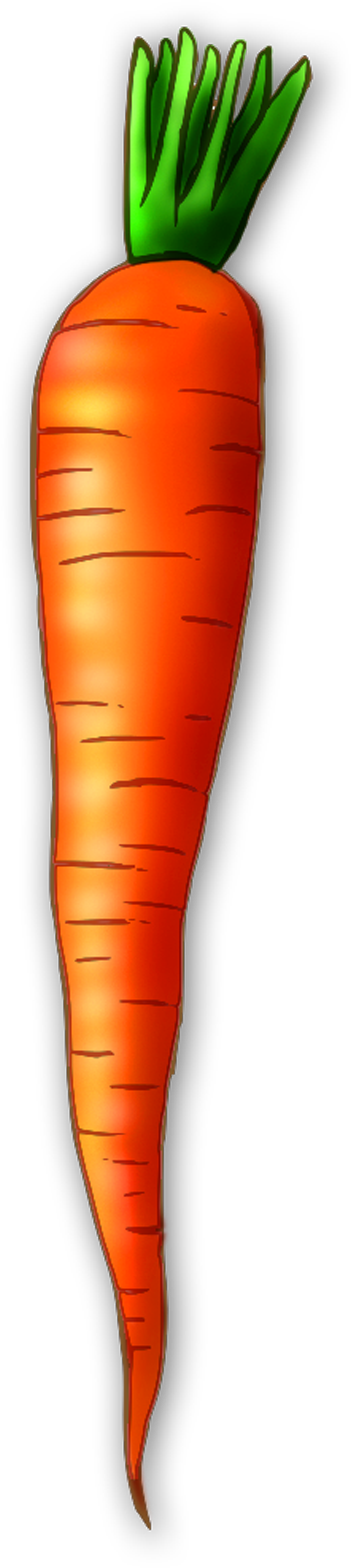 Carrot Clipart - Vegetable Carrot Clip Art - Png Download (1800x8047), Png Download