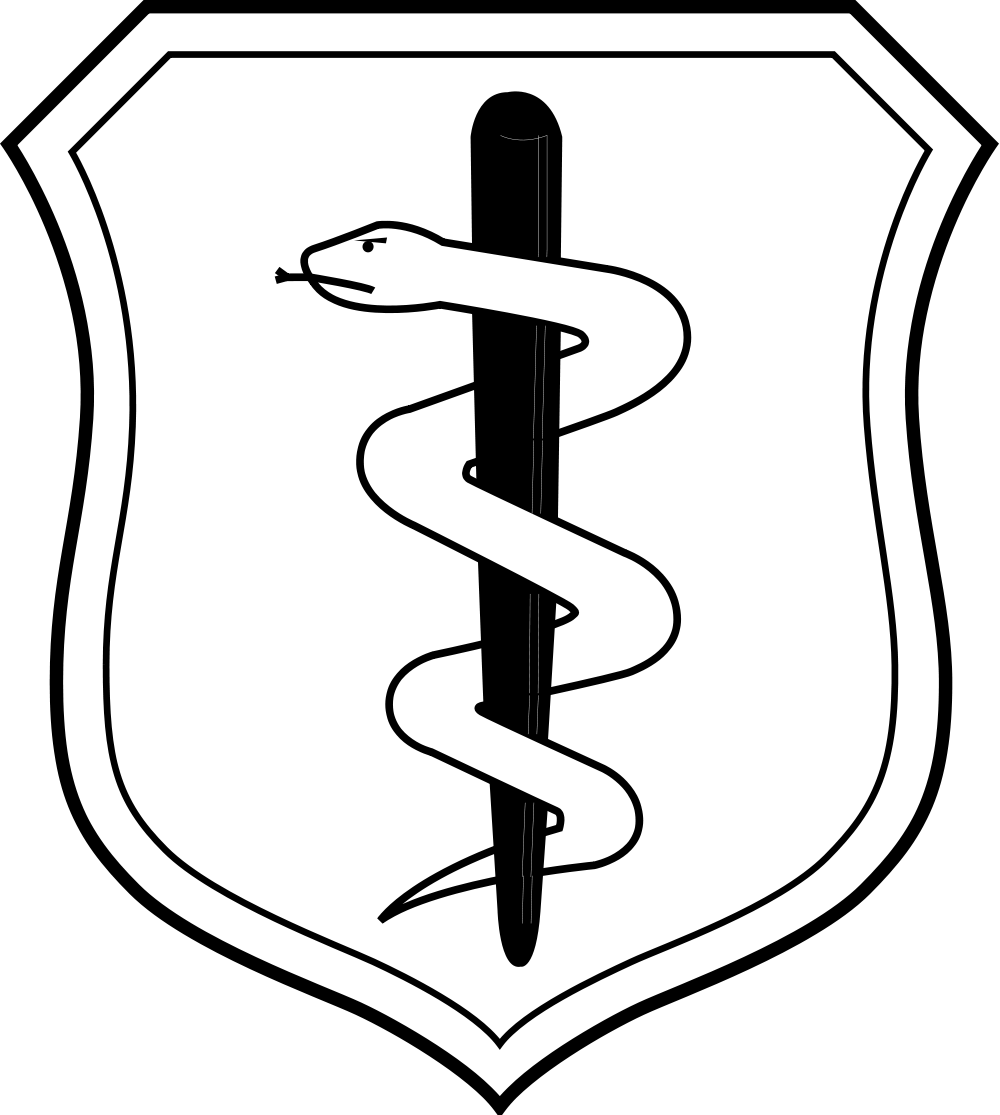 United States Air Force Medical Corps Badge - Air Force Medical Corps Clipart (1000x1115), Png Download