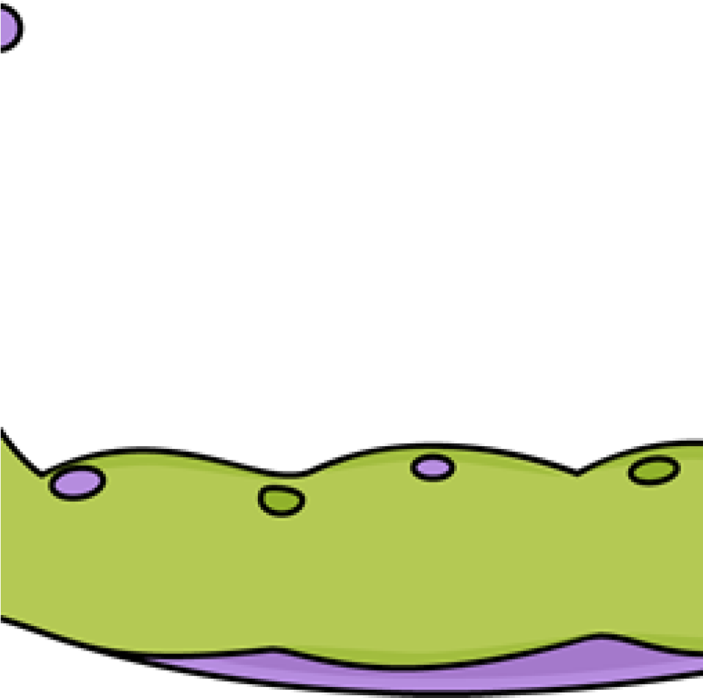 Caterpillar Clipart Clip Art Images Plant 1 Question - Clip Art - Png Download (1024x1024), Png Download