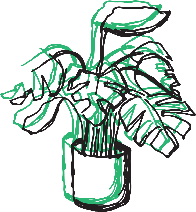 Your Guide To Indoor Greenery Clipart (1800x1200), Png Download