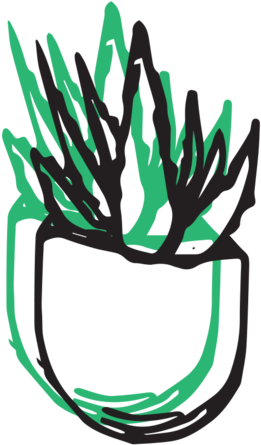 Aloe Vera Light Clipart (1000x667), Png Download