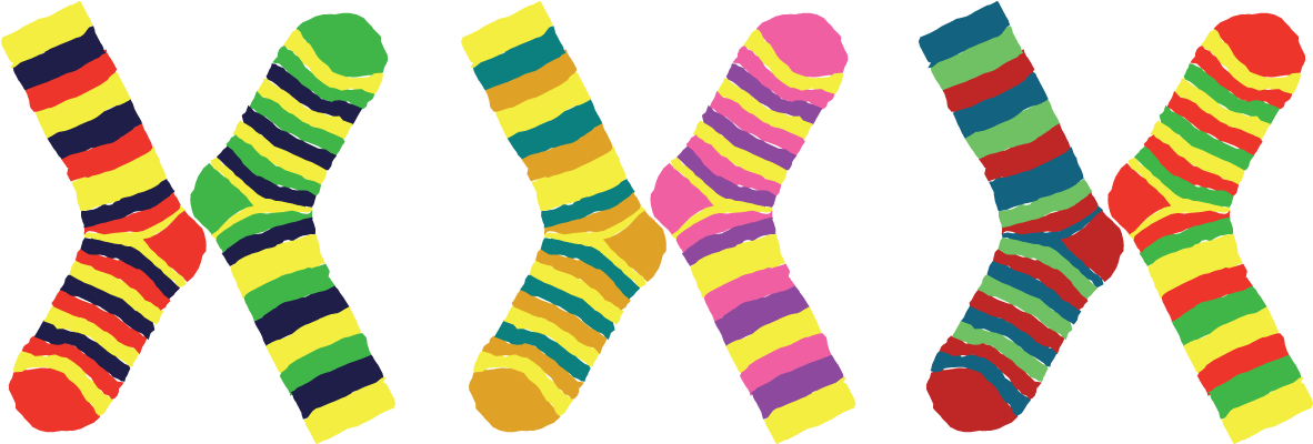 Sock Hop Pictures Clipart (1339x551), Png Download