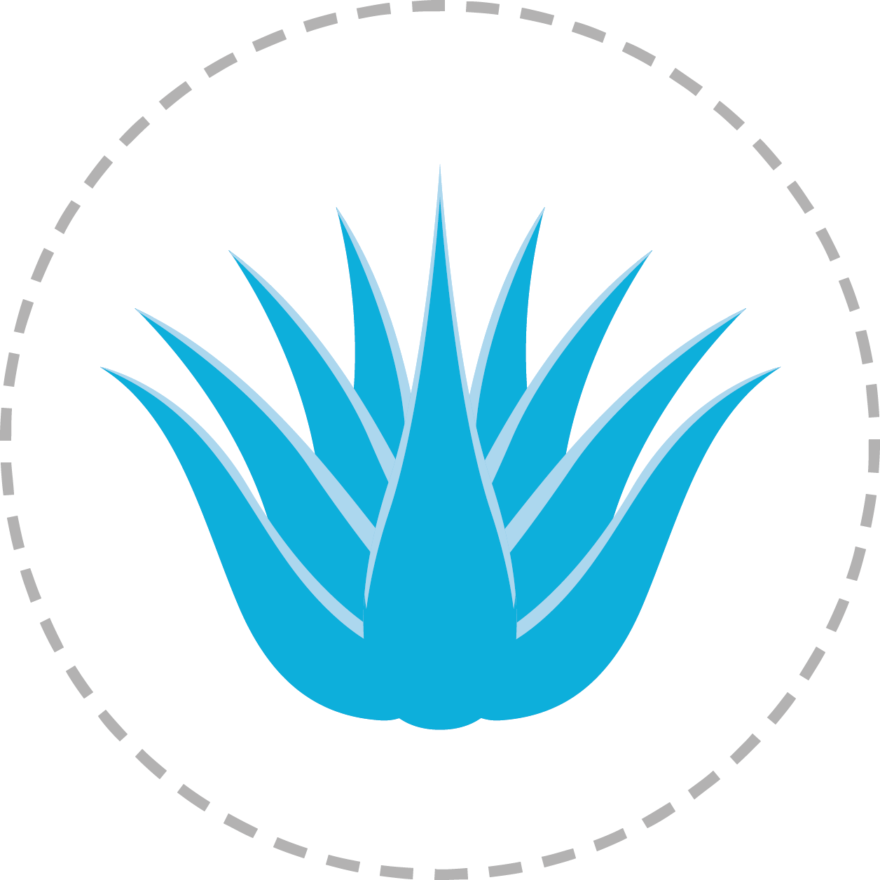 Aloe Vera - Nonprofit Organization Clipart (1256x1256), Png Download