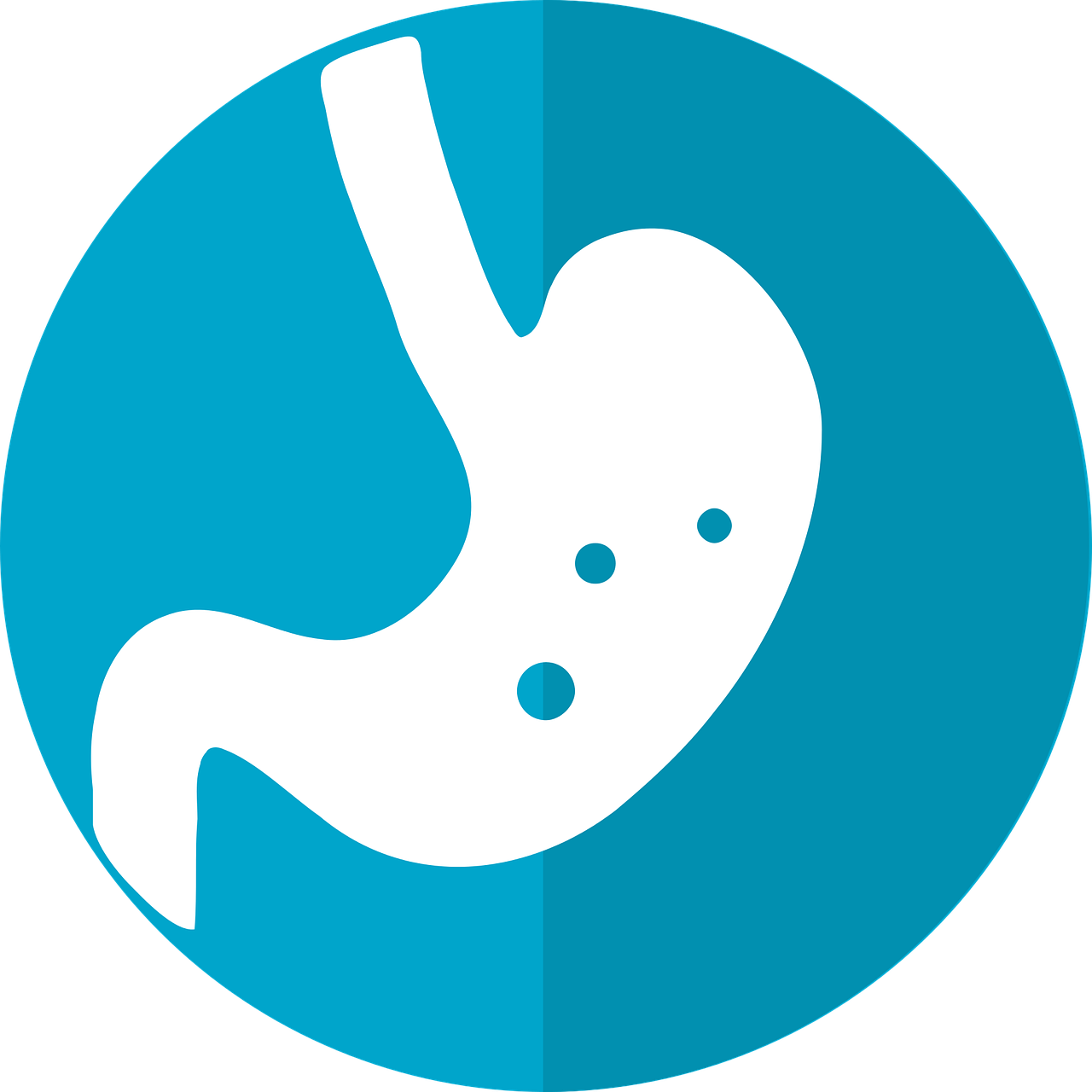 Healthy Digestion - Dạ Dày Icon Clipart (640x640), Png Download