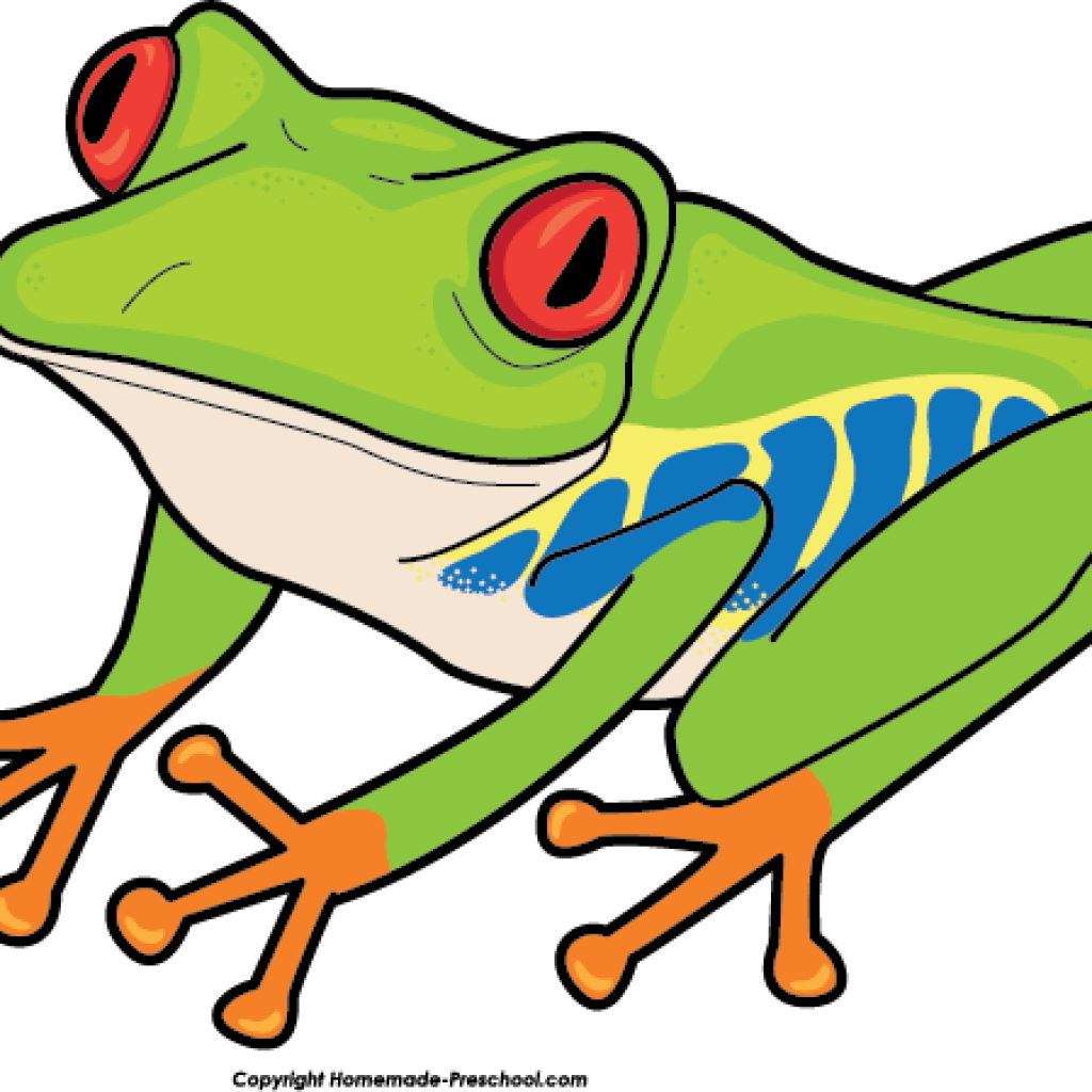 Free Frog Clipart Free Frog Clipart Ready For Personal - Clip Art - Png Download (1024x1024), Png Download