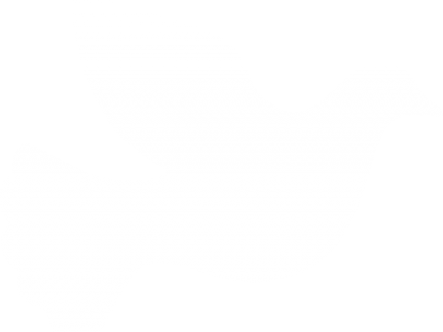 White Dove Vector Png Clipart (640x480), Png Download