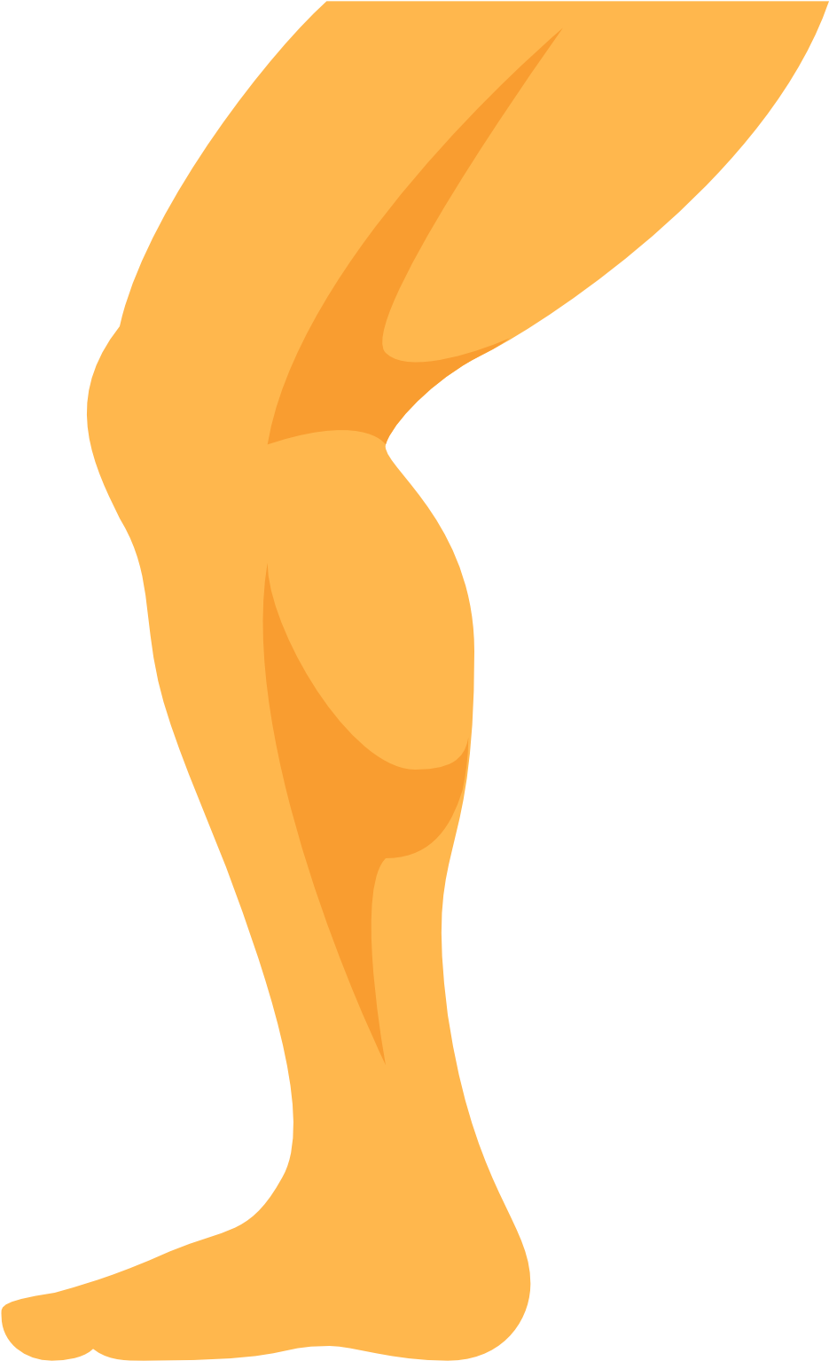 Leg Icon - Human Leg Clipart (1600x1600), Png Download
