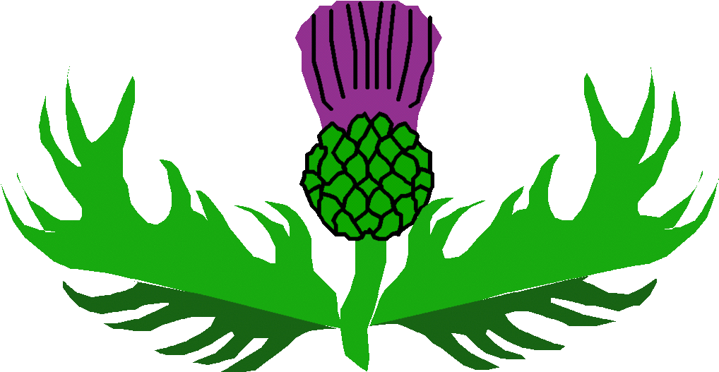 Thistle Border Clip Art Clipground Christmas Garland - Free Clipart Scottish Thistle - Png Download (1072x573), Png Download