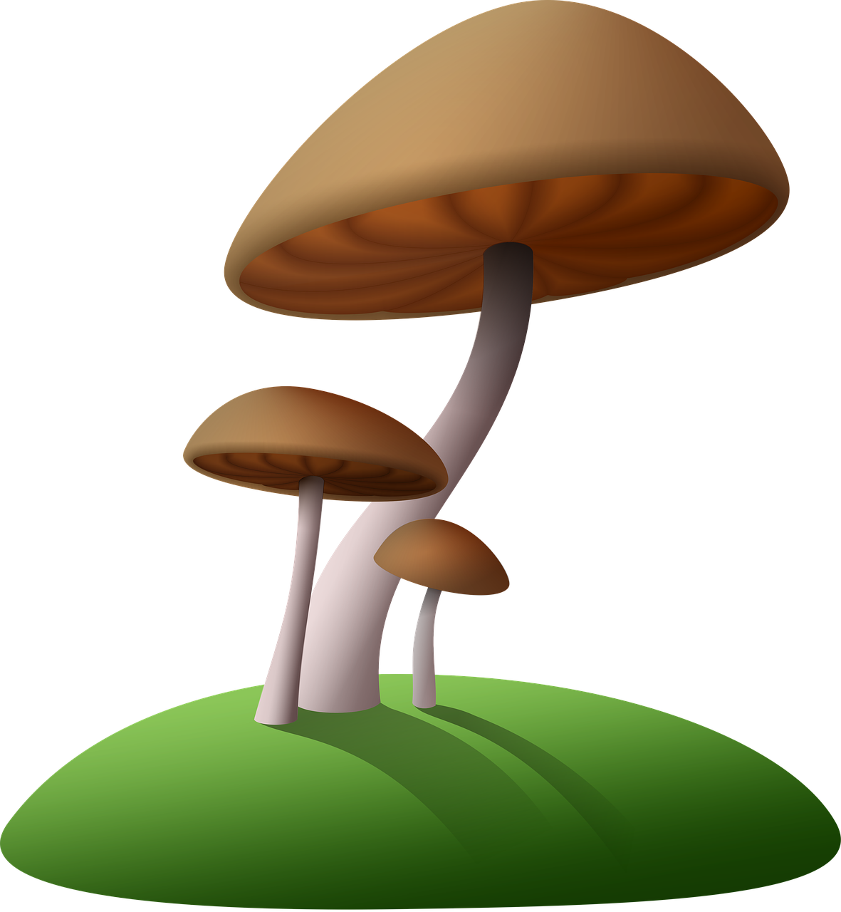Cartoon Tree Stump 9, Buy Clip Art - Transparent Background Mushroom Clip Art - Png Download (664x720), Png Download