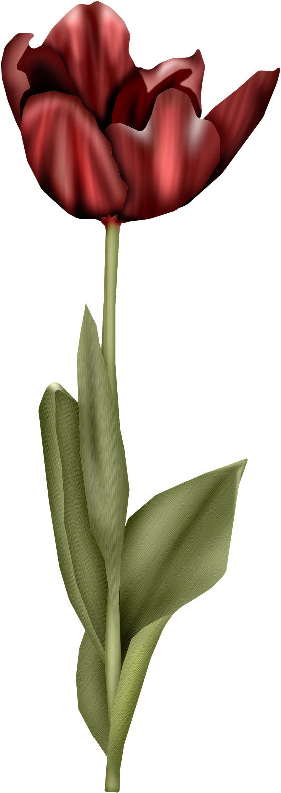 Delicate Retro Birds Clipart - Tulip - Png Download (580x1600), Png Download