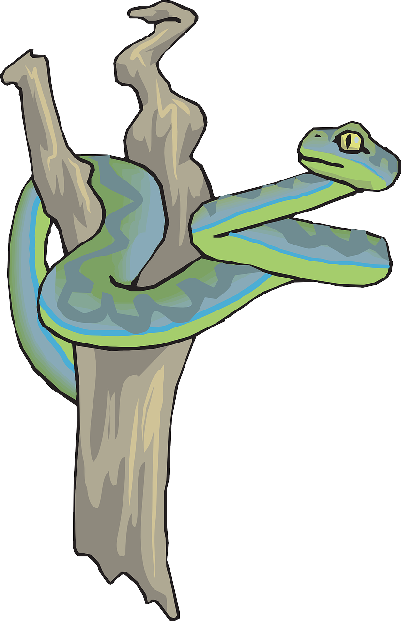 Snake Dead Tree Branch Reptile Png Image - Serpiente En Un Arbol Clipart (828x1280), Png Download