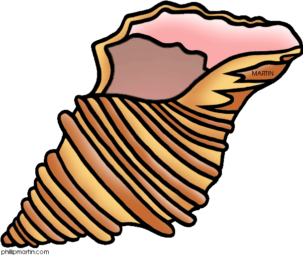 Arachnid Clipart Spider Hanging - Clip Art - Png Download (648x528), Png Download