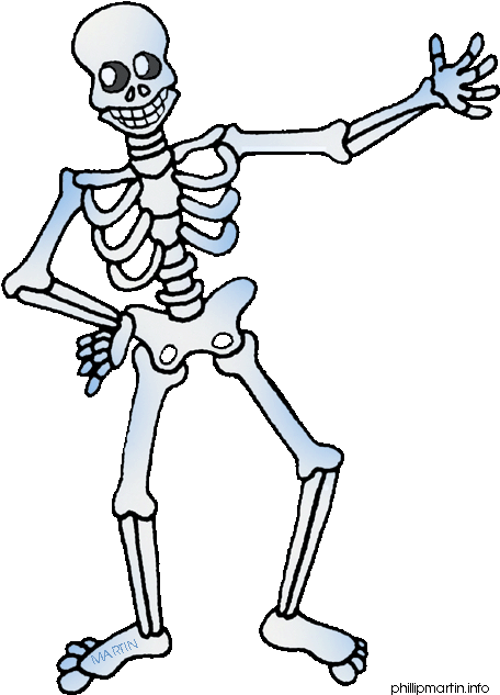 Metal Clipart Free Clipart Human Body Skeleton Clipart Png Download Full Size Clipart 1203045 Pinclipart
