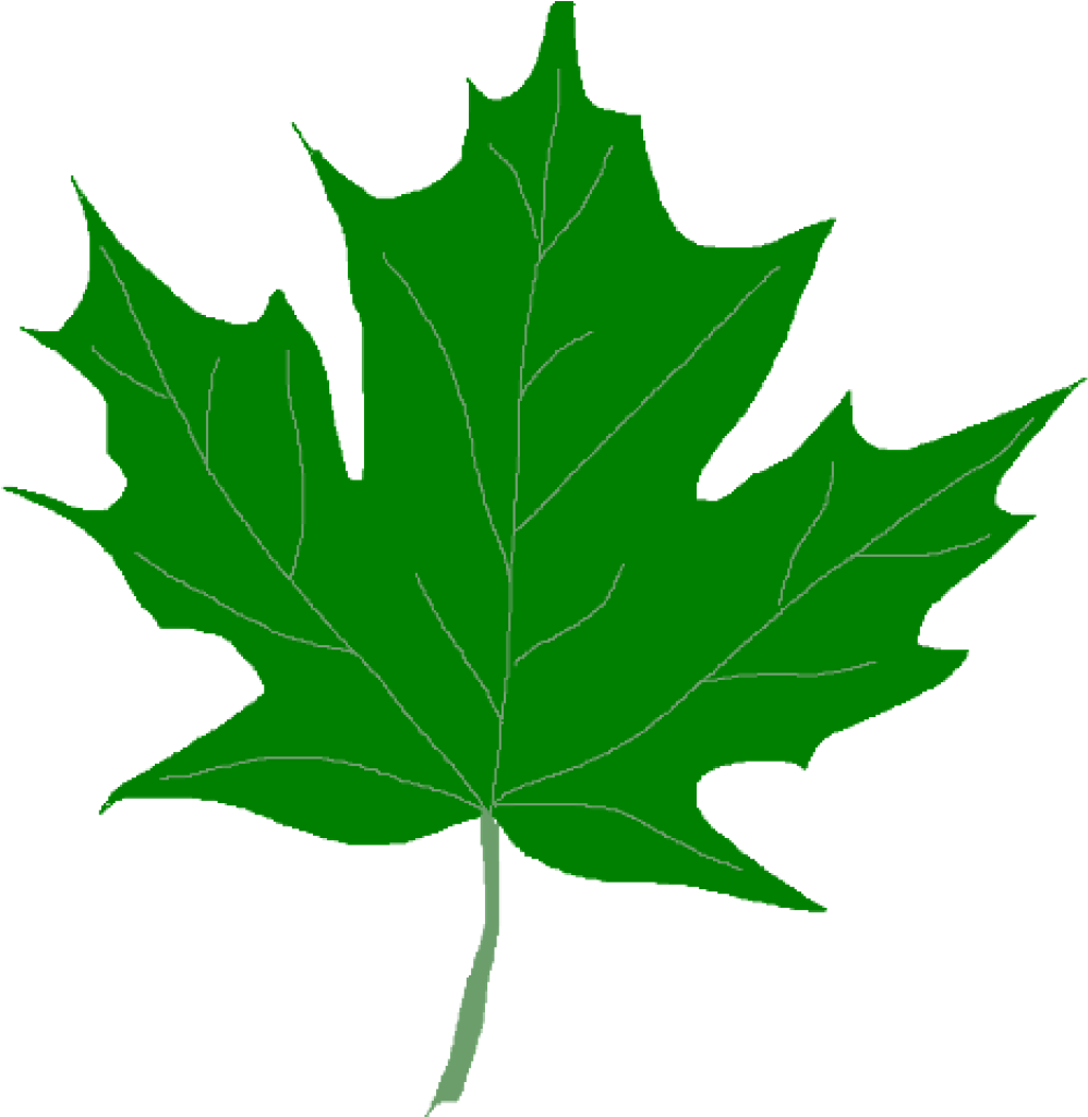 Download Green Leaf Clipart Green Maple Leaves Clipart Clip Clip Art