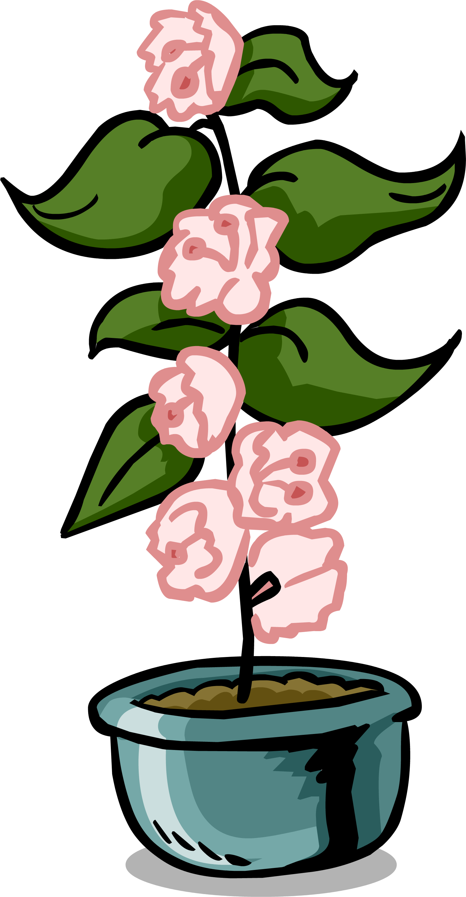 Growing Plants - - Stages Of A Flower Clipart (1606x3087), Png Download