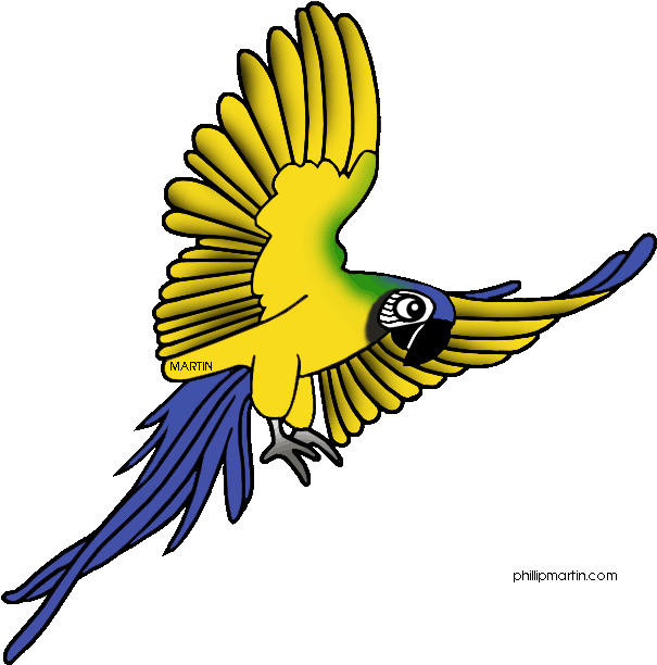 Free Rainforest Animals Clip Art By Phillip Martin, - Rainforest Animals Transparent - Png Download (640x648), Png Download