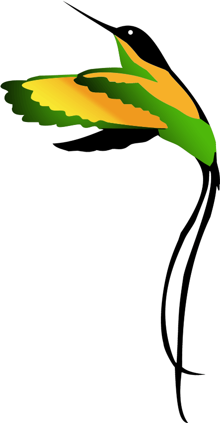 Jamaican National Bird Clipart Drawing - Jamaican National Bird Drawing - Png Download (461x864), Png Download