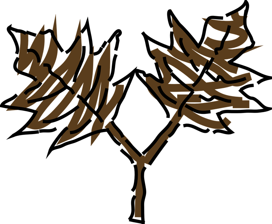 Brown Tree Cliparts 21, Buy Clip Art - Clip Art - Png Download (873x720), Png Download