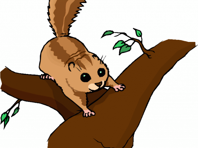 Chipmunk Clipart Easy Cartoon - Clip Art - Png Download (640x480), Png Download