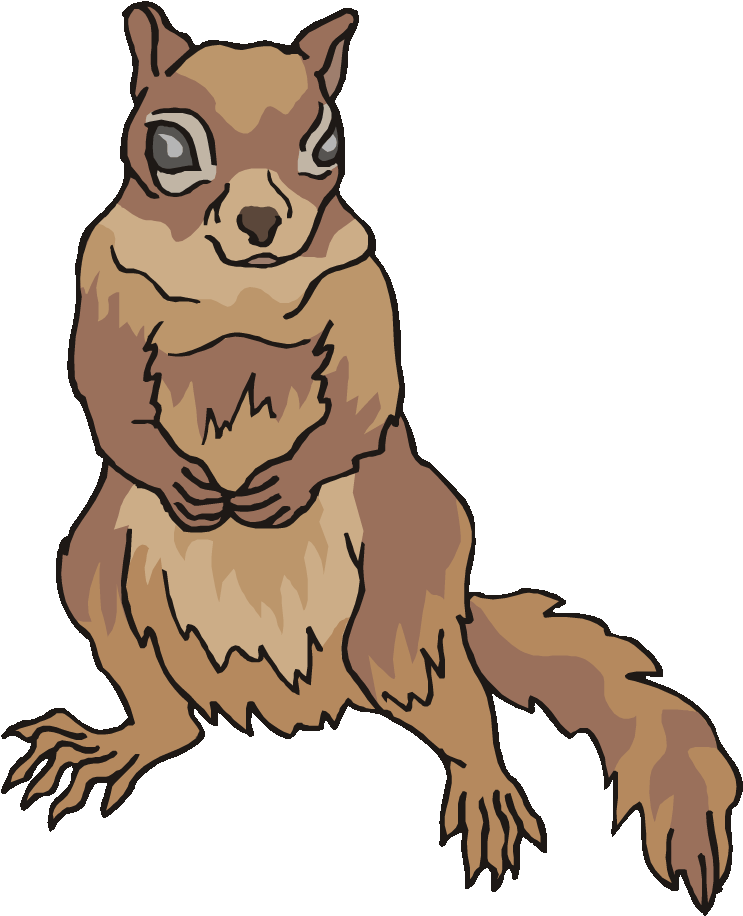 Free Squirrel Clipart - Cartoon - Png Download (750x922), Png Download
