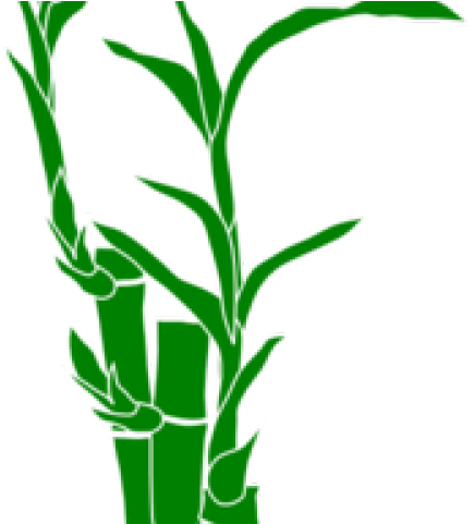 Bamboo Clipart Sign - Bamboo Shoots Clipart Png Transparent Png (640x480), Png Download