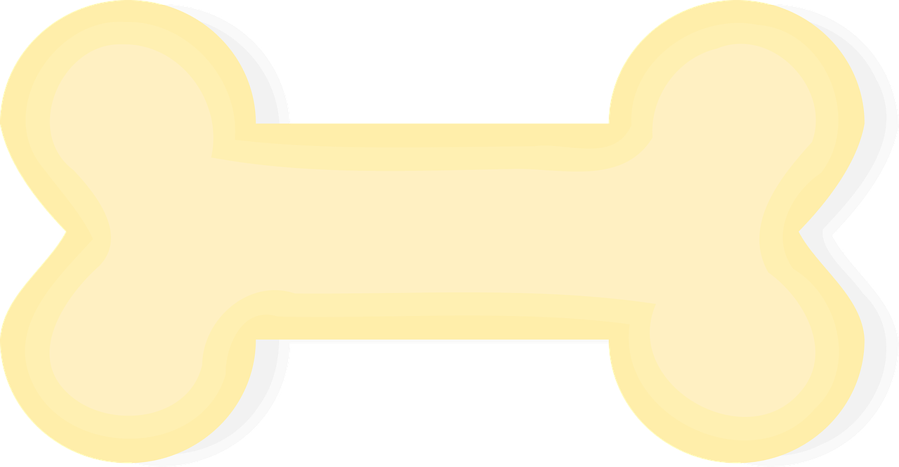 Big Bone Png Clipart (960x499), Png Download