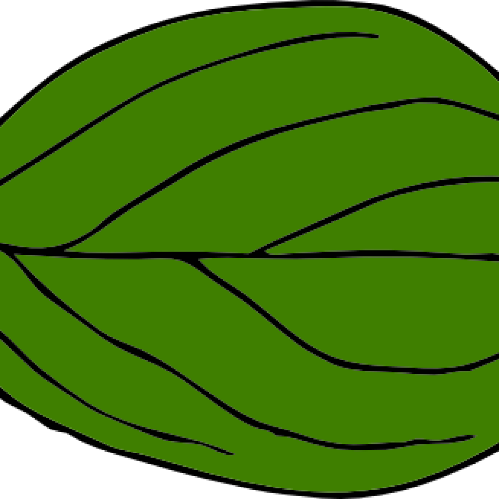 Green Leaf Clipart Dark Green Leaf Clipart Classroom - Leaf - Png Download (1024x1024), Png Download