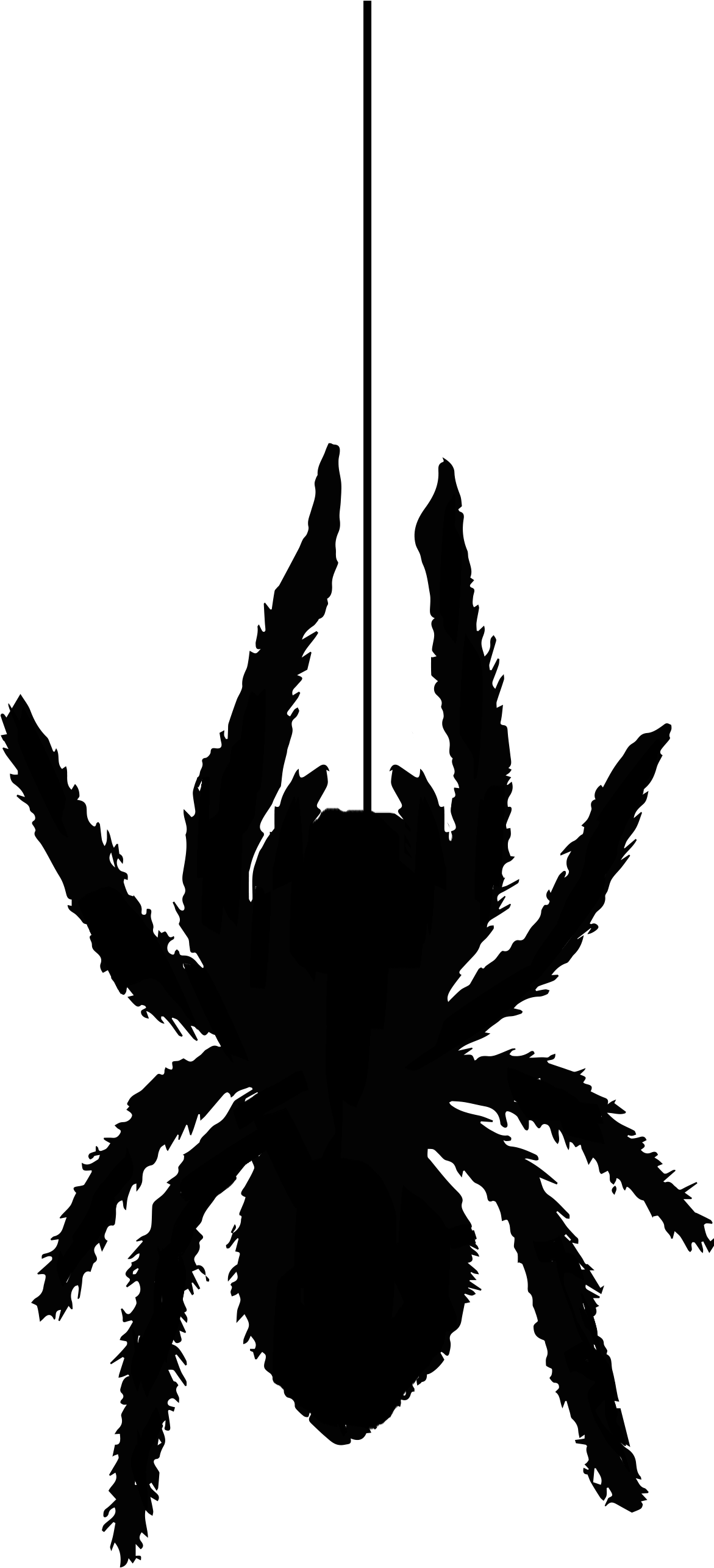 Spider Silhouette1353 Free Vintage Clip Art - Clip Art - Png Download (2550x3300), Png Download