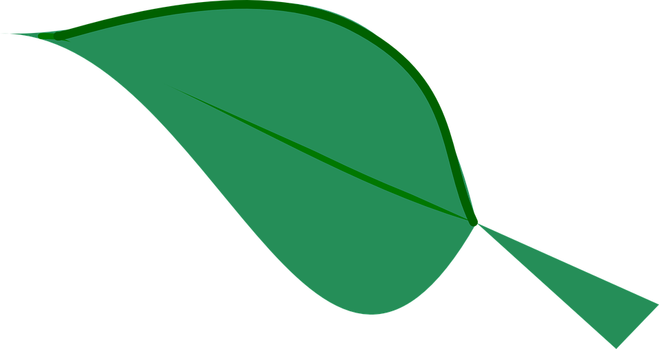 Green Leaf Clipart 12, Buy Clip Art - Dark Green Leaf Clipart - Png Download (960x508), Png Download