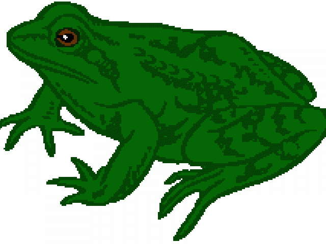 Green Frog Clipart Tadpole Frog - Frog Clip Art - Png Download (640x480), Png Download