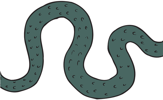Original - Snake Clipart (640x480), Png Download