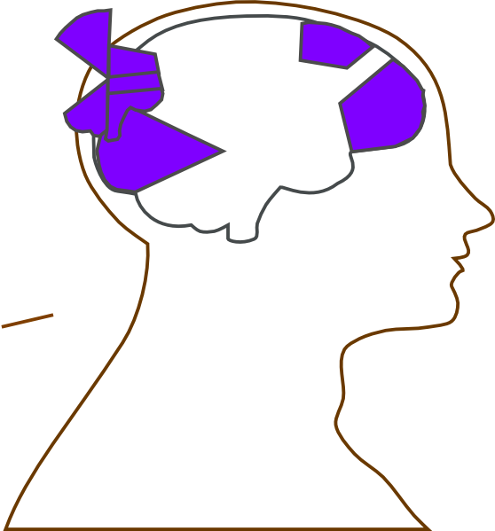Head Clipart (558x599), Png Download