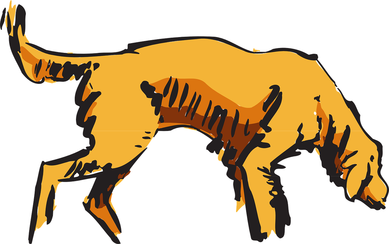 Dog, Pet, Animal - Hunting Dog Transparent Clipart (960x602), Png Download