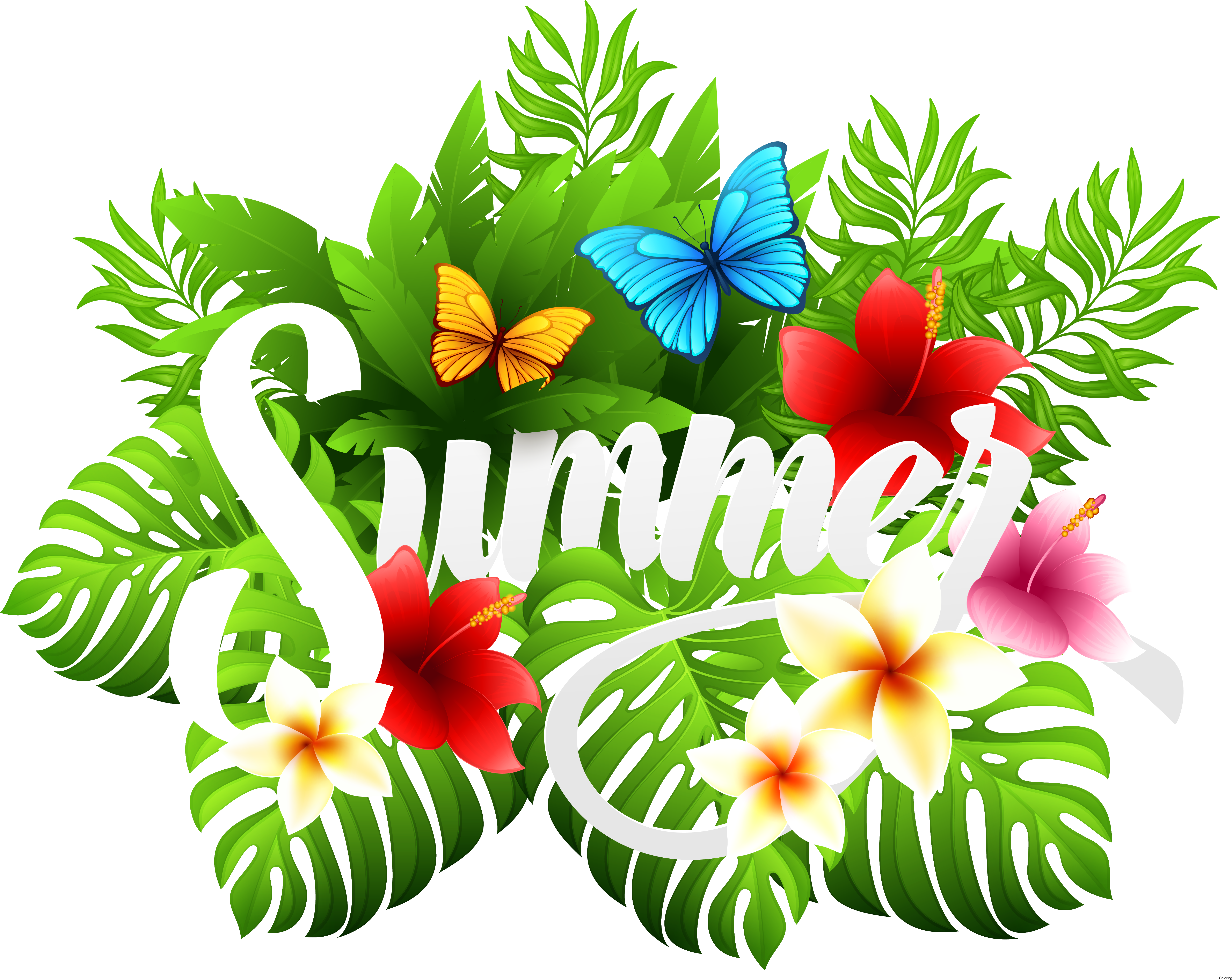 Summer Clipart Free - Png Download (6068x4822), Png Download