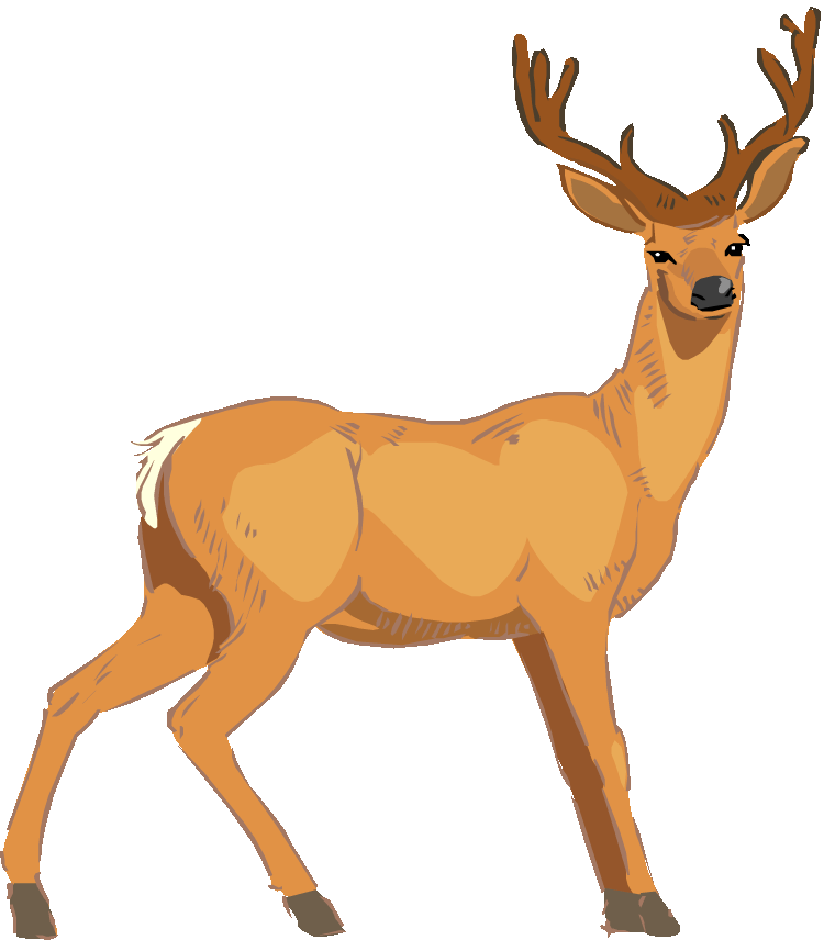 Baby Deer Clip Art Image - Vector Deer - Png Download (750x856), Png Download