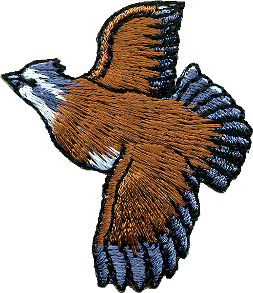 Image Black And White Eagle Gifts Galore Wild Beast - Animal Patch Clipart (535x603), Png Download