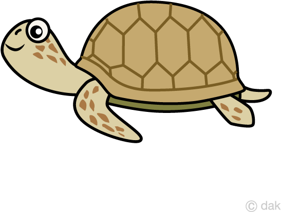 Sea Turtle Clipart (640x640), Png Download