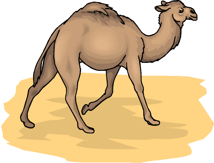 Free Cliparts Download Clip Art On Graphics - Camel Animal Clip Art - Png Download (750x573), Png Download