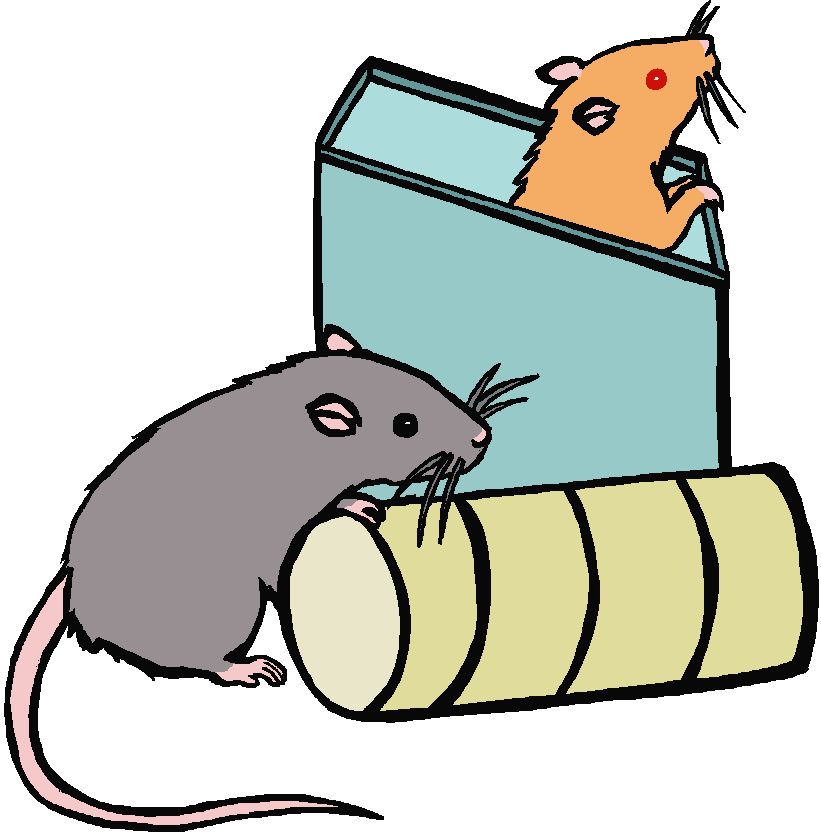 Cartoon Picture Of A Rat Free Download Clip Art - Rat Is In The Box Cartoon - Png Download (821x835), Png Download