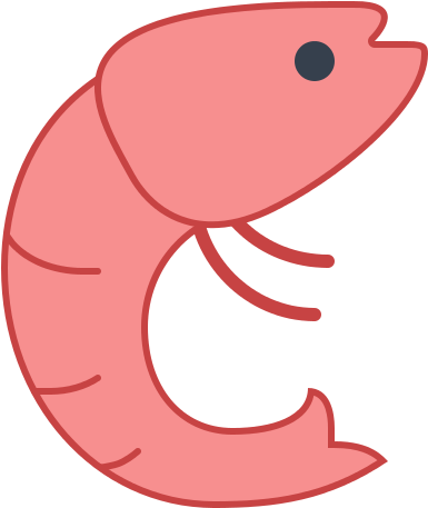 Shrimp - Icon Clipart (800x600), Png Download